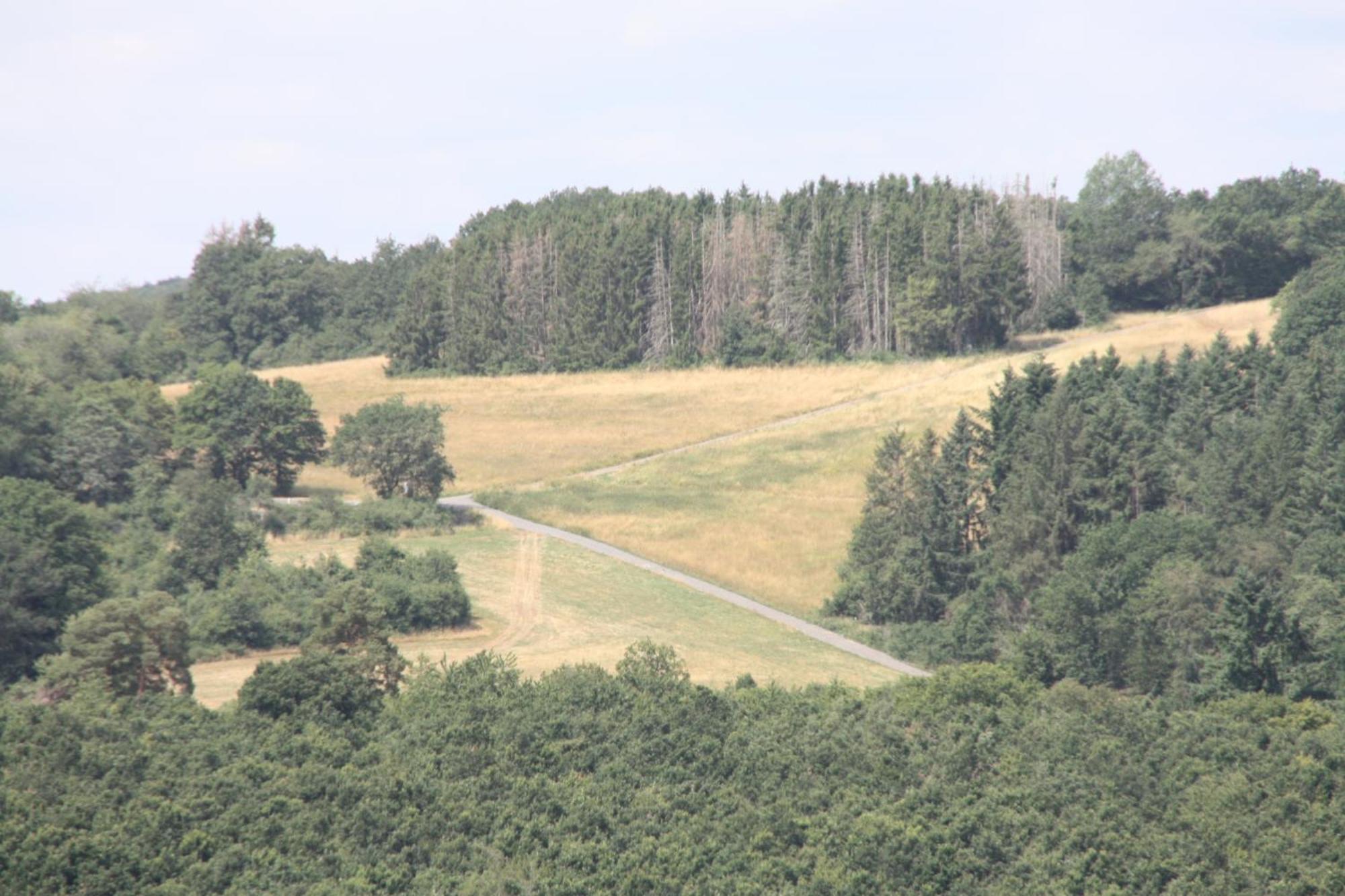 Apartmán Haus Buchholz Liesenich Exteriér fotografie